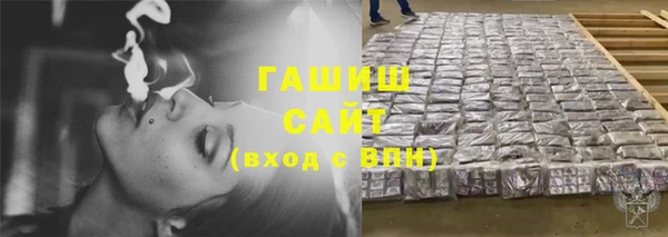 шишки Ельня