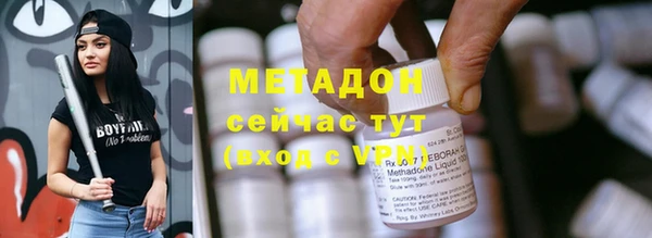 шишки Ельня