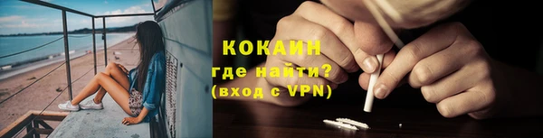 шишки Ельня