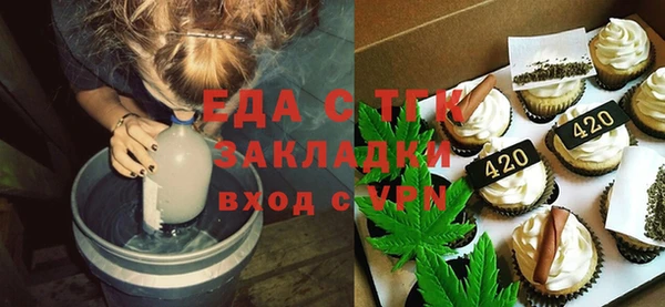 шишки Ельня