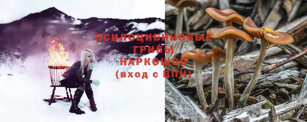 бутират Елабуга